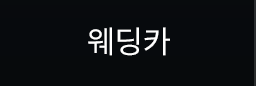 웨딩카