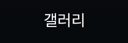 갤러리